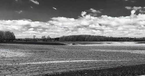 Scenic view of field against sky