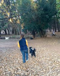 Woman standing on tree trunk