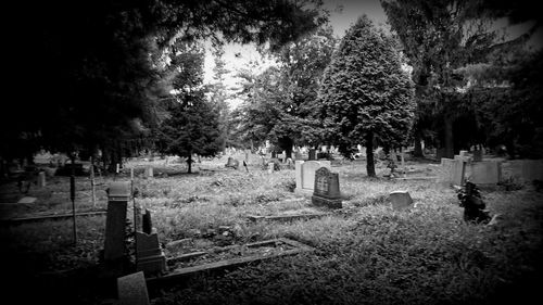 View of cemetery