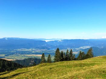 Scenic view of field against clear blue sky