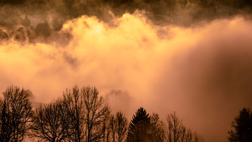 Silhouette trees against sky at sunset