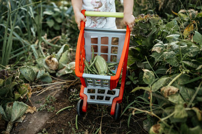 Child holding shopping cart with vegetables