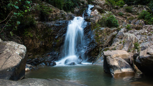 Scenic view of waterfall in forest