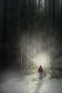 Rear view of man walking in forest