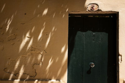 Shadow of a monkey on wall