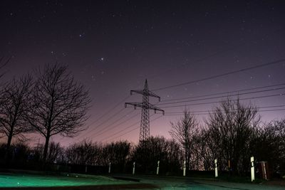 Trees against sky at night