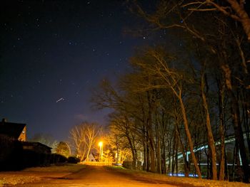 Illuminated street amidst bare trees against sky at night