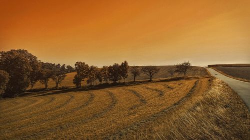 Scenic view of rural landscape