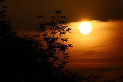 Silhouette tree against romantic sky at sunset