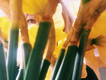 Close-up portrait of woman