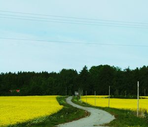 Scenic view of rural landscape