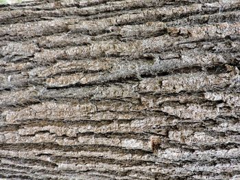 Full frame shot of textured surface