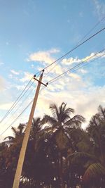 Low angle view of palm trees against sky