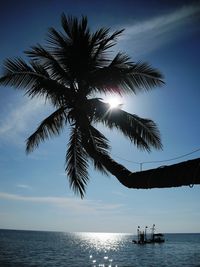 Palm tree over sea against sky