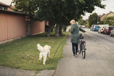Mature woman with dog and bicycle walking on sidewalk