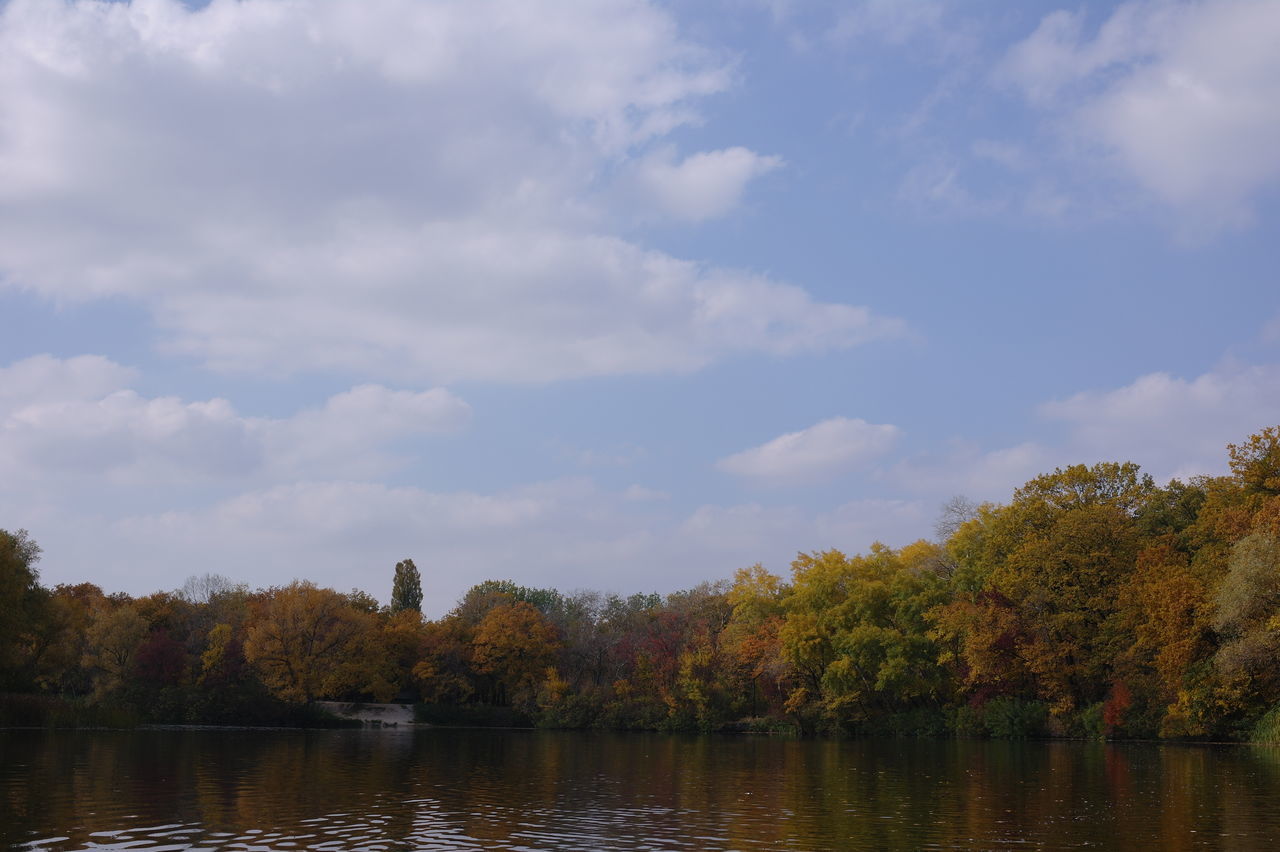 TREES BY LAKE AGAINST SKY DURING AUTUMN