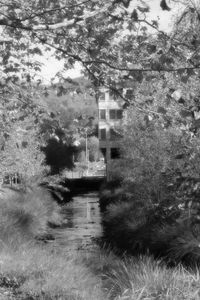 Built structure on field by lake in forest