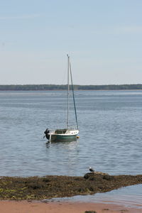 Sailboat anchored at shoreline on clear day