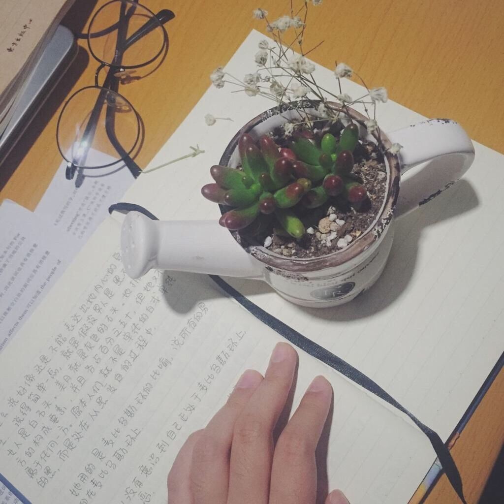 person, indoors, cropped, part of, holding, table, high angle view, human finger, unrecognizable person, personal perspective, close-up, book, paper, leaf, lifestyles, freshness, potted plant