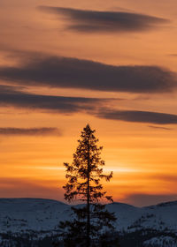 Silhouette tree on snow covered landscape against romantic sky at sunset