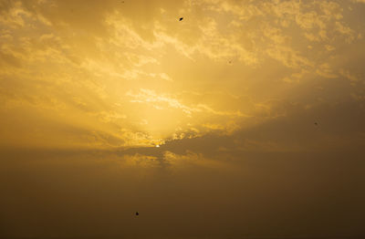 Silhouette bird flying against orange sky