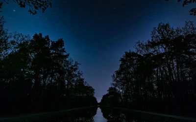 Silhouette trees against sky at night