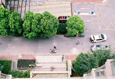 High angle view of plants and cars on road