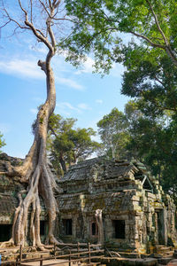 Low angle view of old temple