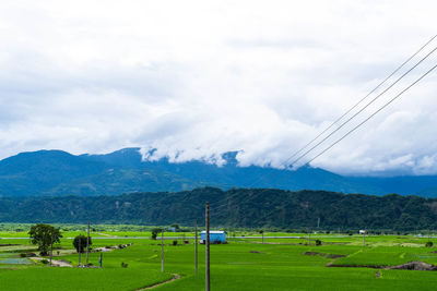 Scenic view of field against sky