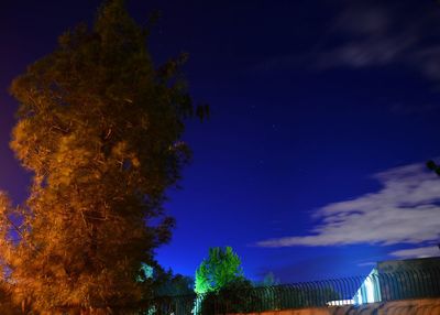 Low angle view of trees against sky at night