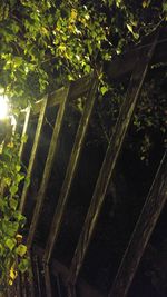 Low angle view of trees