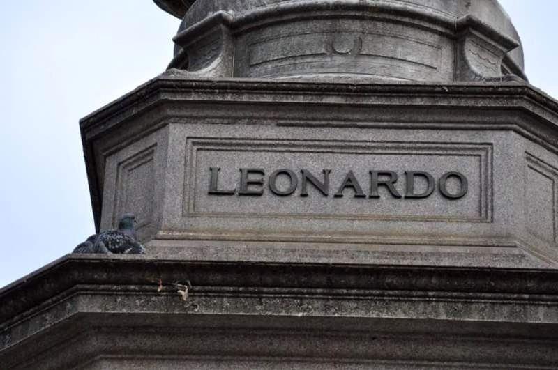 Pigeon Leonardo