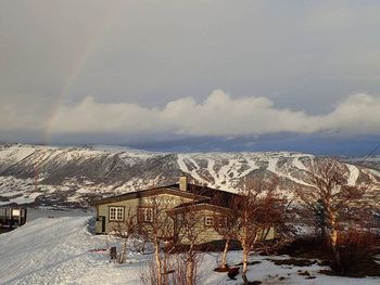 Snow covered landscape