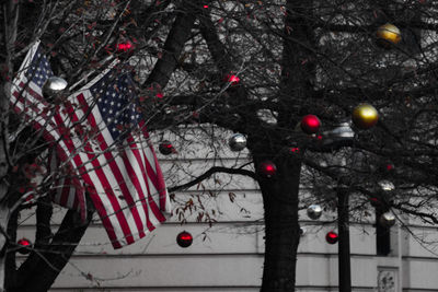 Low angle view of trees
