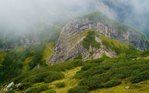 Aerial view of landscape