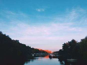 Reflection of trees in river