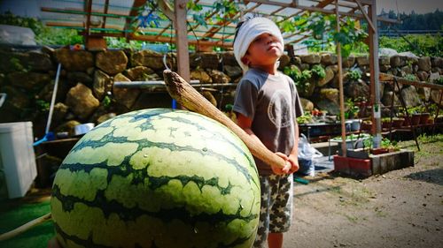 Blindfolded boy touching watermelon with stick outdoors