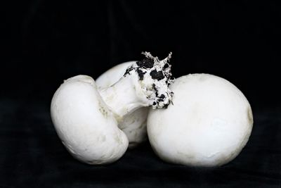 Close-up of apple against black background