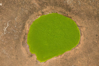 High angle view of heart shape on field