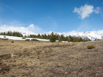 Scenic view of field against sky