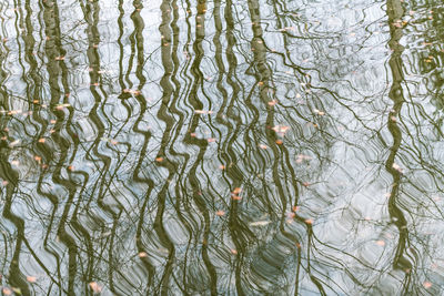 Full frame shot of plants in lake during winter