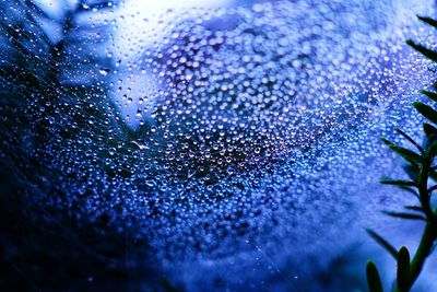 Close-up of water drops on leaf