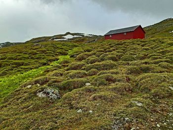 House on field by mountain against sky