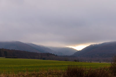 Scenic view of field against sky