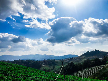 Scenic view of field against sky