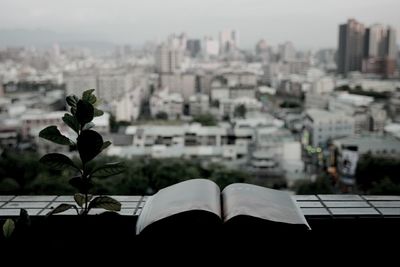 View of plants in city