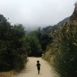 Rear view of man walking on footpath
