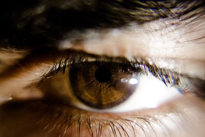 Extreme close-up of human eye