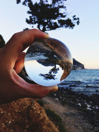 Close-up of person holding lens all against a juniper 