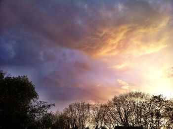 Low angle view of trees against cloudy sky